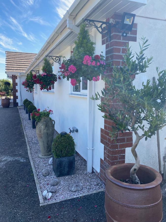 Toppesfield House B&B Bude Extérieur photo