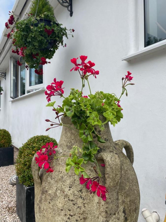 Toppesfield House B&B Bude Extérieur photo