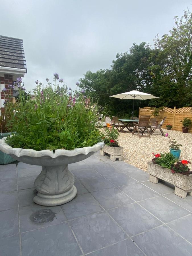 Toppesfield House B&B Bude Extérieur photo