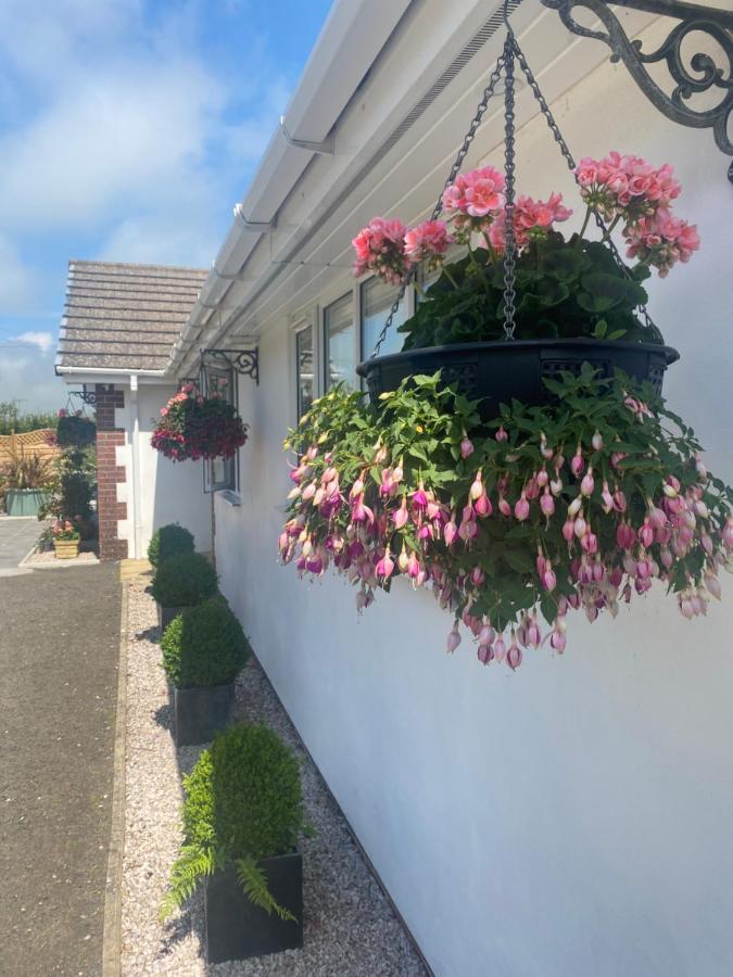 Toppesfield House B&B Bude Extérieur photo