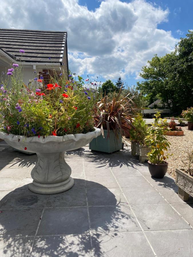 Toppesfield House B&B Bude Extérieur photo